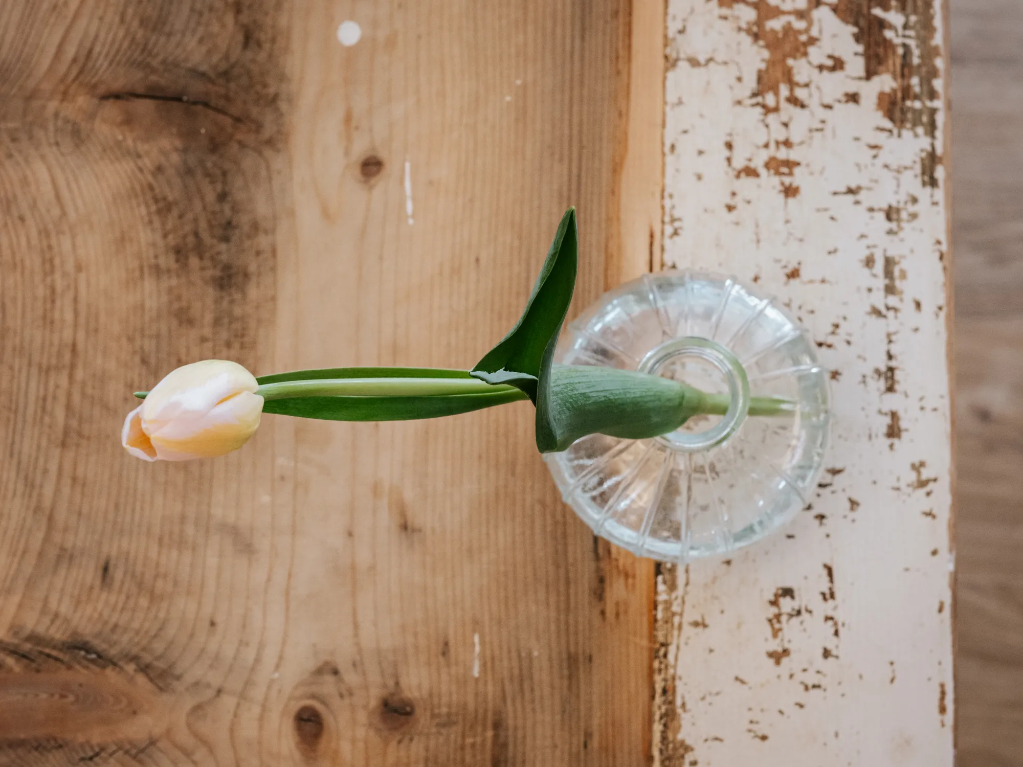 Shop item display image